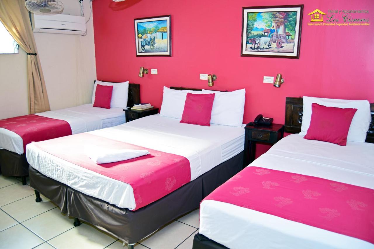 Hotel Y Apartments Los Cisneros Managua Ngoại thất bức ảnh