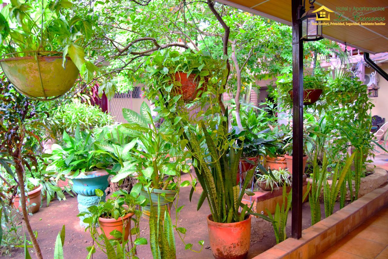 Hotel Y Apartments Los Cisneros Managua Ngoại thất bức ảnh