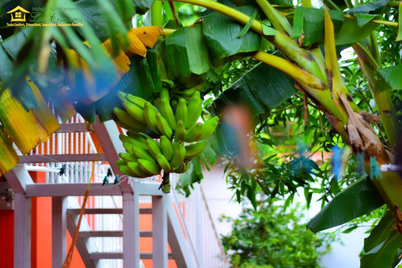Hotel Y Apartments Los Cisneros Managua Ngoại thất bức ảnh