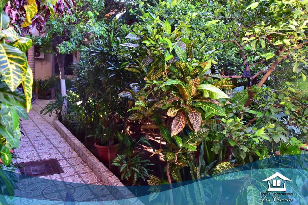Hotel Y Apartments Los Cisneros Managua Ngoại thất bức ảnh