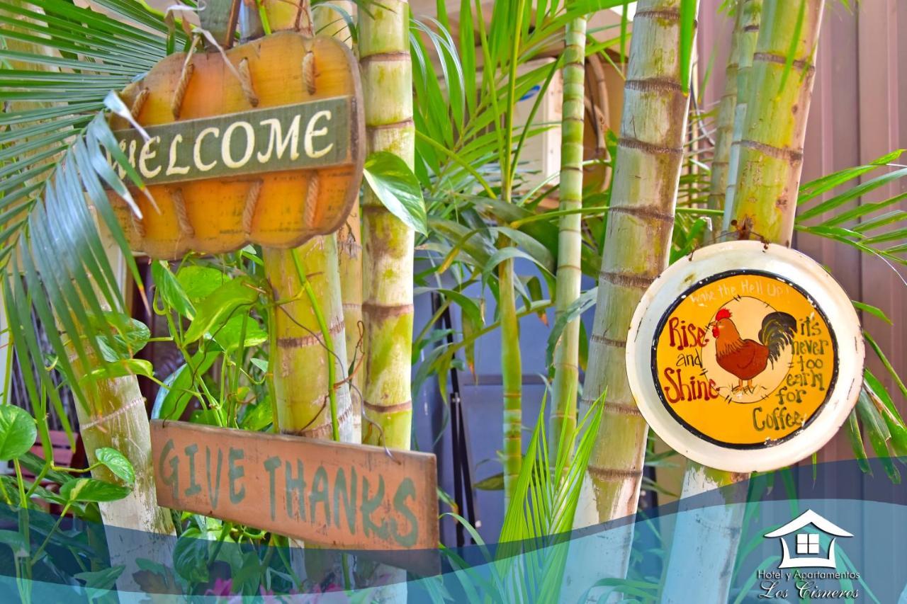Hotel Y Apartments Los Cisneros Managua Ngoại thất bức ảnh